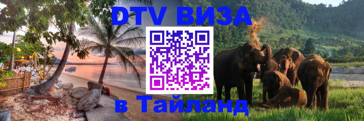 Оформление DTV визы под ключ: стоимость и тарифы, только загранпаспорт - 